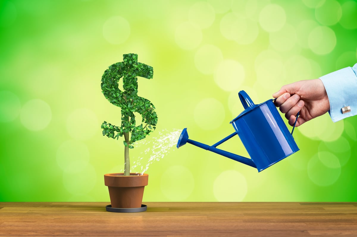 Income growth concept illustrated by a plant shaped like a dollar symbol being watered